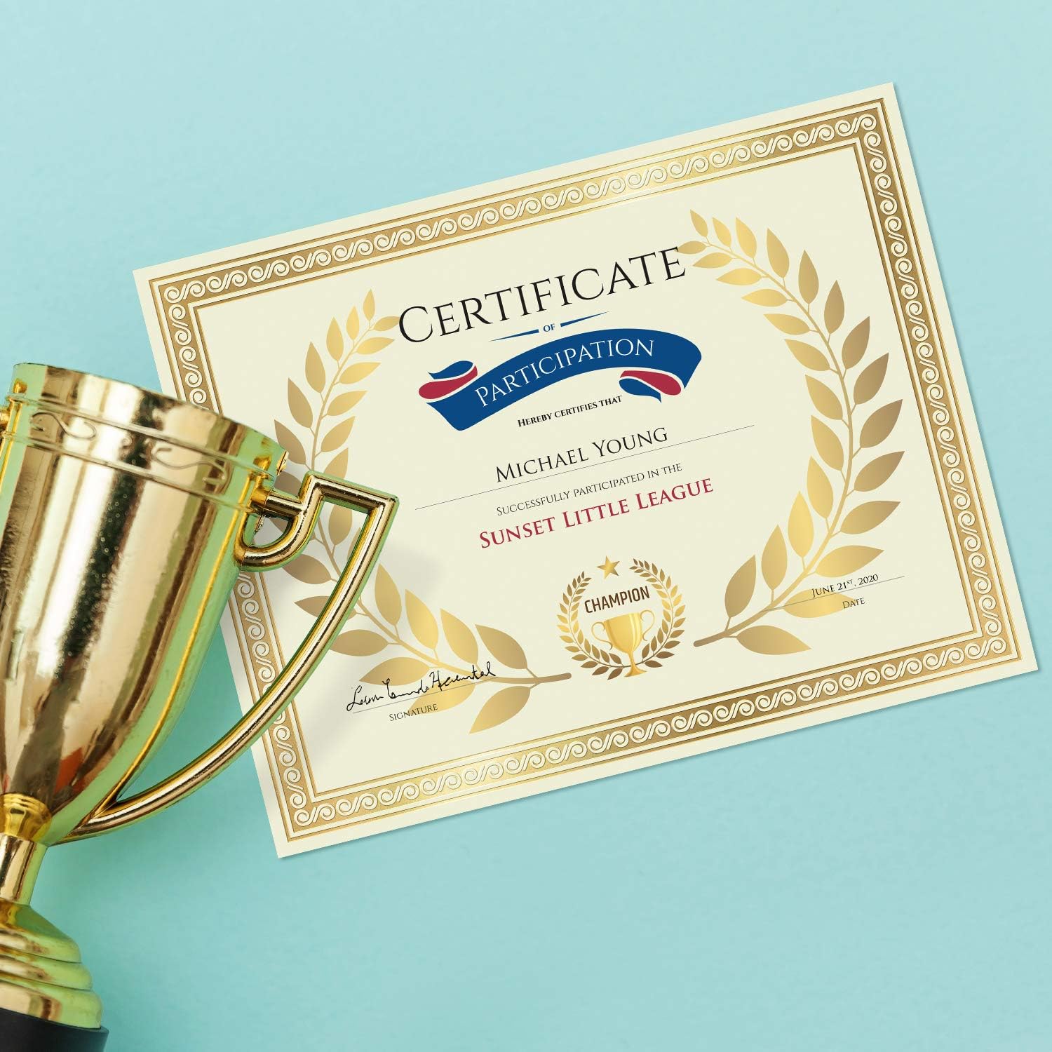 Sweetzer & Orange 50 Certificate Paper 8.5 x 11 for Printing, 180gsm Cardstock Gold Border Award Certificates Paper for Completion of Graduation Diploma, Employee of The Month & Sports Achievements - Image 7